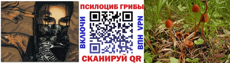купить   Новоульяновск  Псилоцибиновые грибы Magic Shrooms 